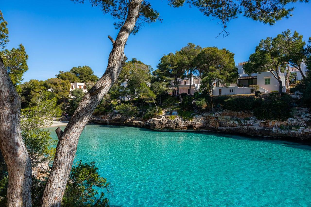 Apartamento Aquamarina 3 カラ・フェレーラ エクステリア 写真